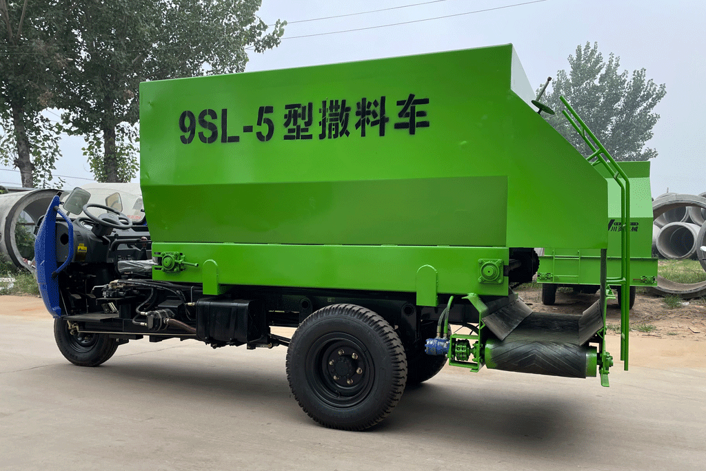 5�������ϳ�