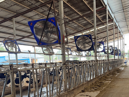 ţ�ή�·���